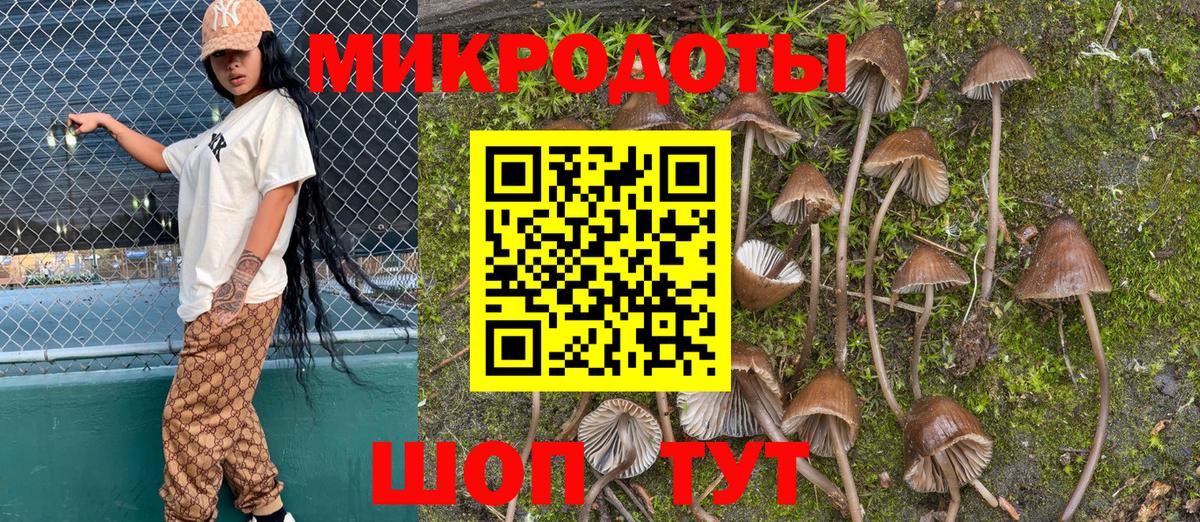Галлюциногенные грибы прущие грибы Орехово-Зуево